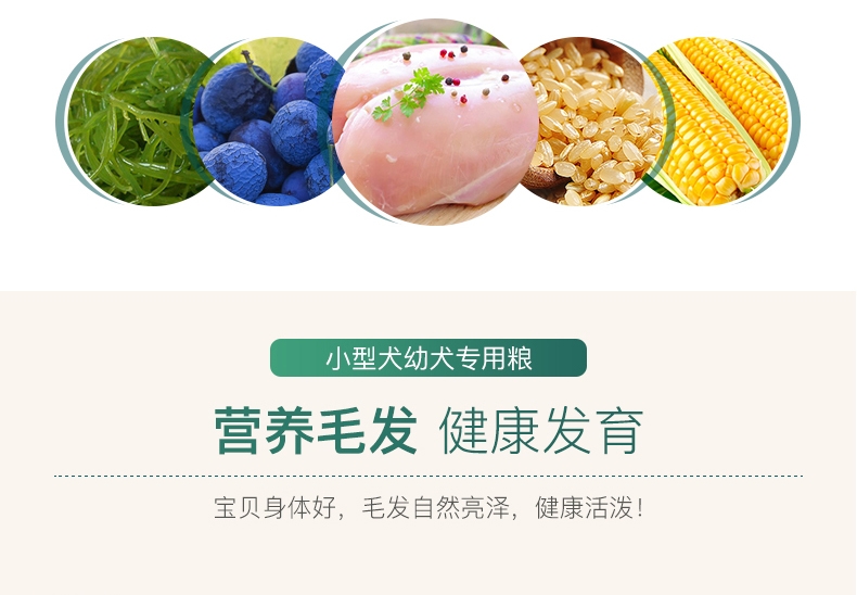 怡亲Yoken 小型幼犬试吃装 50G