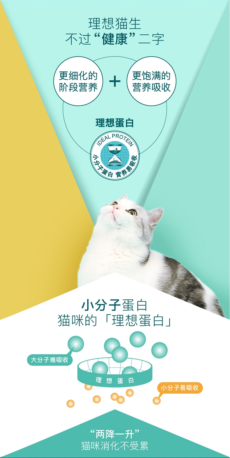 怡亲Yoken 去毛球成猫粮 2.5kg