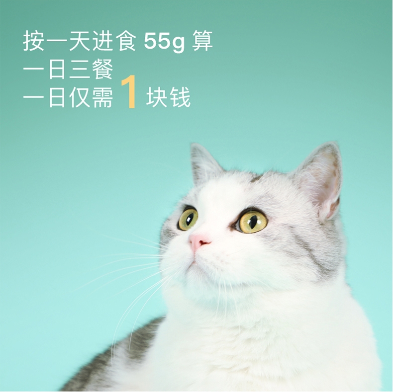 怡亲Yoken 去毛球成猫粮 2.5kg