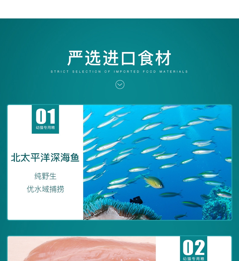 怡亲 幼猫粮专用粮2.5KG