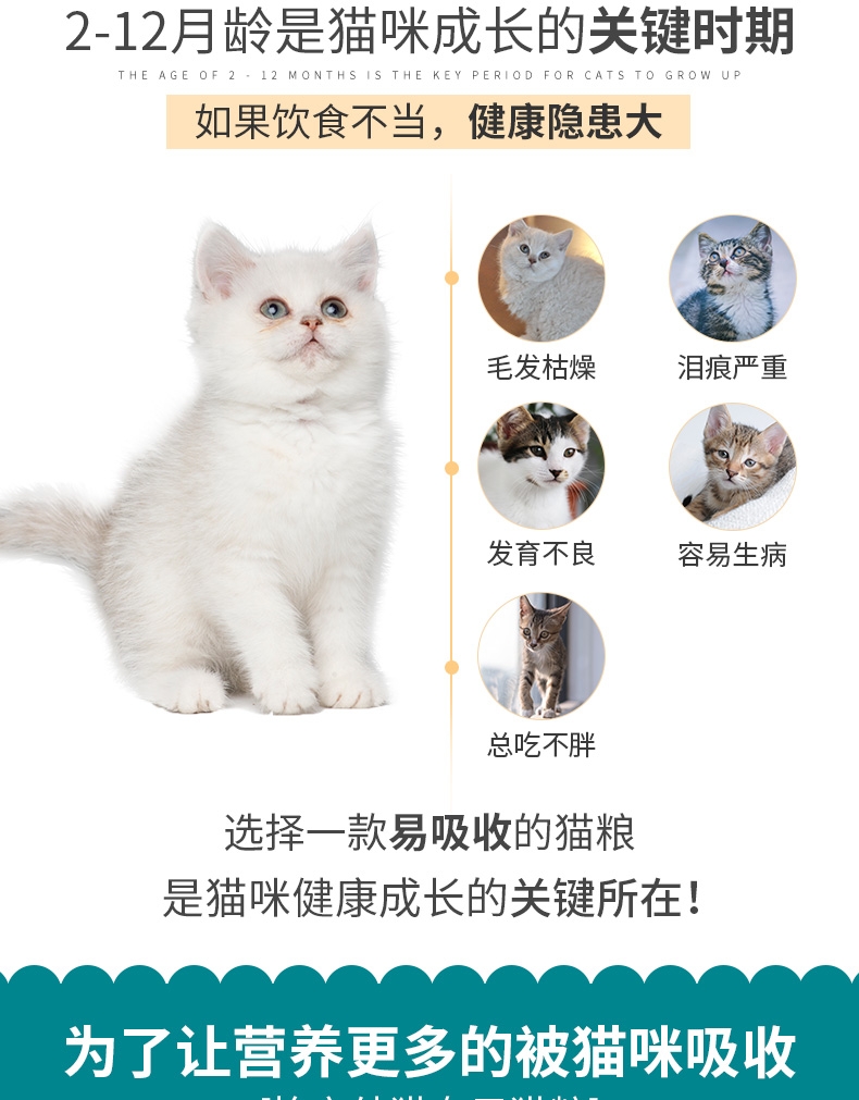 怡亲 幼猫粮专用粮2.5KG
