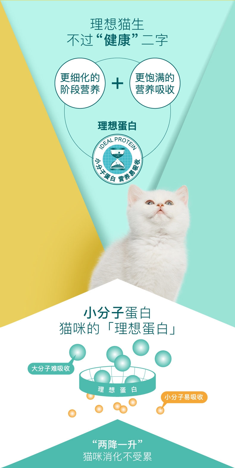 怡亲Yoken 深海鱼幼猫粮 2.5kg