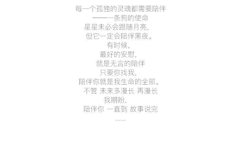 多拉乐 树脂仿真狗泰迪狗模型 装饰摆件