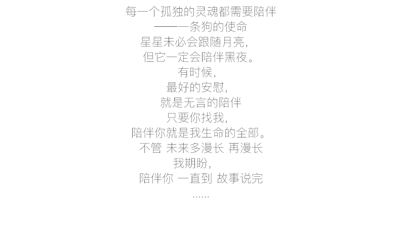 多拉乐 树脂仿真狗约克夏模型 装饰摆件