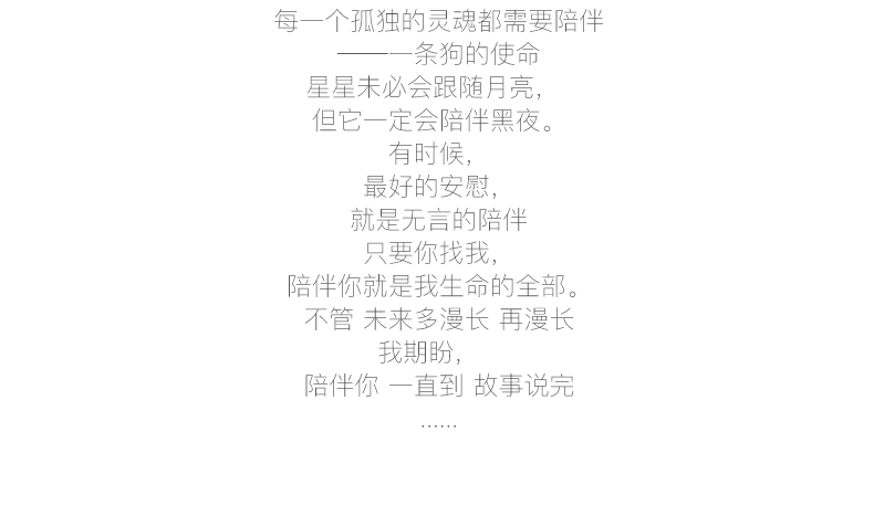 多拉乐 树脂仿真狗吉娃娃模型 装饰摆件