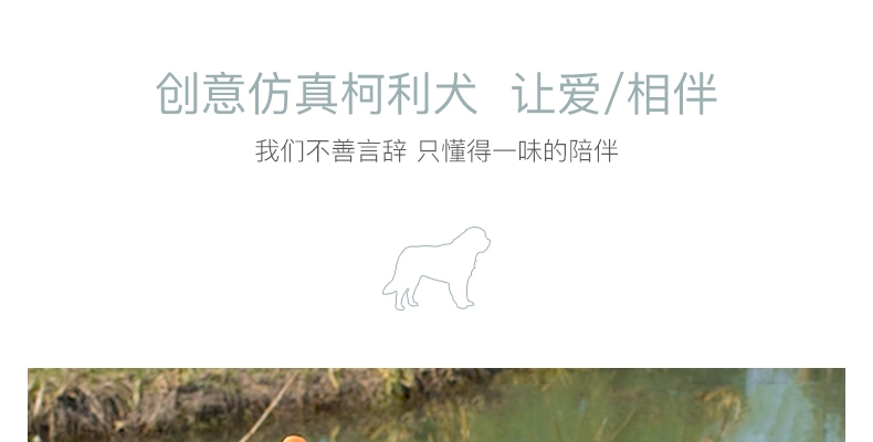 多拉乐 树脂仿真狗柯利犬模型 装饰摆件