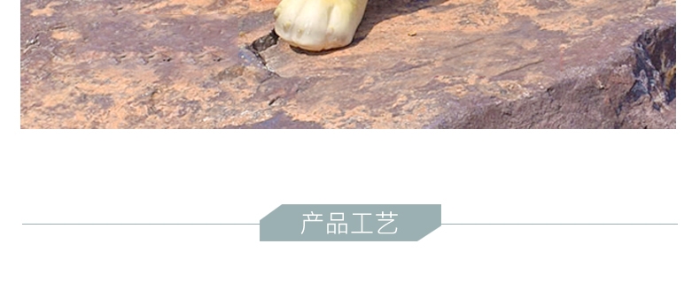 多拉乐 树脂仿真狗柯利犬模型 装饰摆件