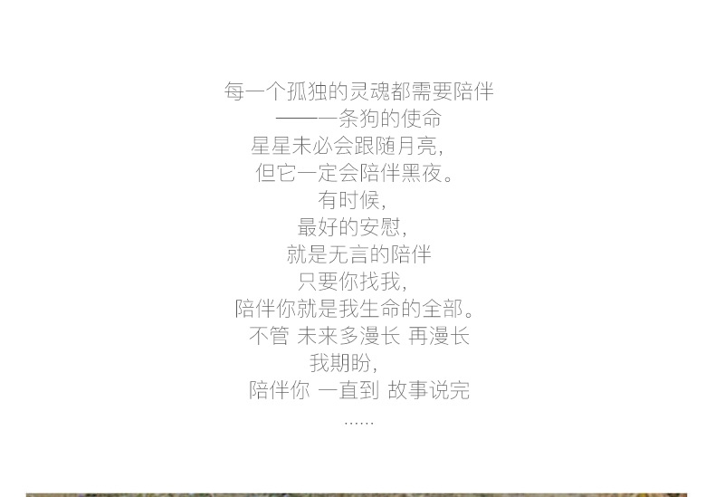 多拉乐 树脂仿真狗比格犬模型 一套四只 装饰摆件