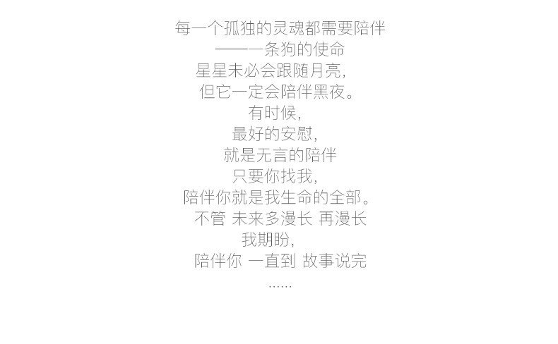 多拉乐 树脂仿真狗拉布拉多模型 一套四只 装饰摆件