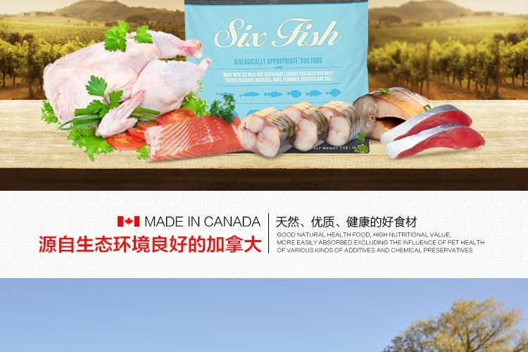 渴望Orijen 六种鱼美毛专用配方全犬粮 6kg 加拿大进口