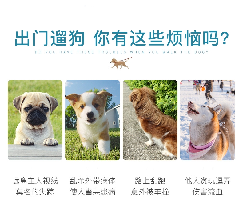 怡亲 狗狗牵引绳三件套