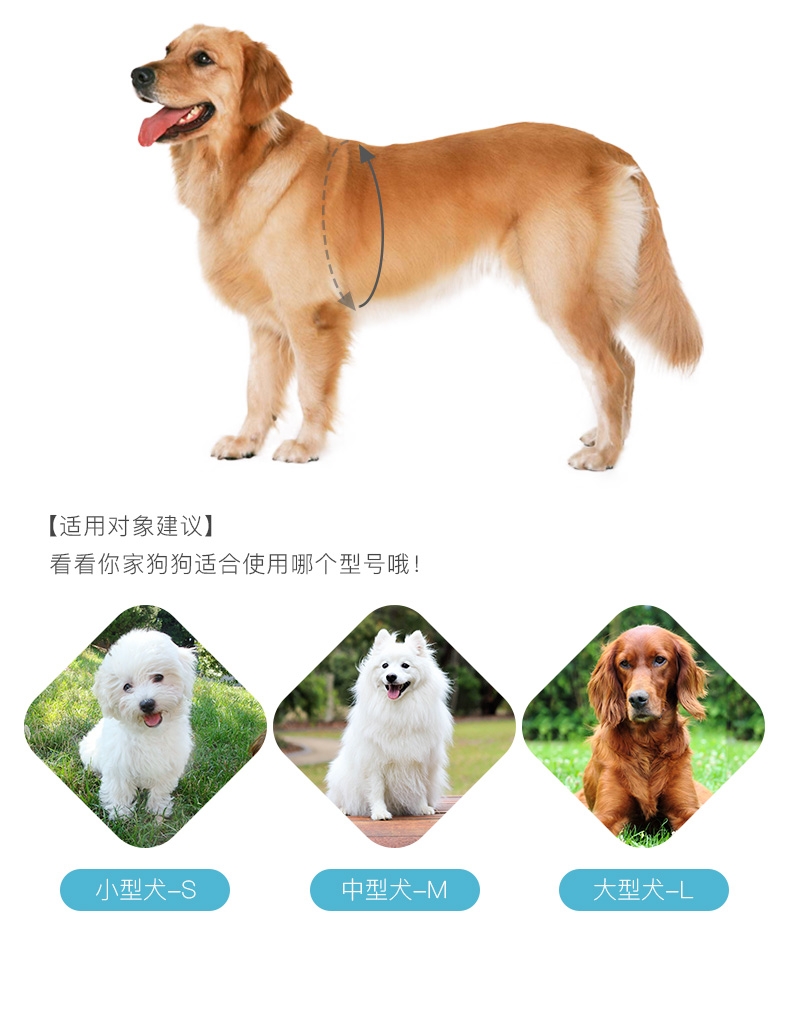 怡亲 狗狗牵引绳三件套