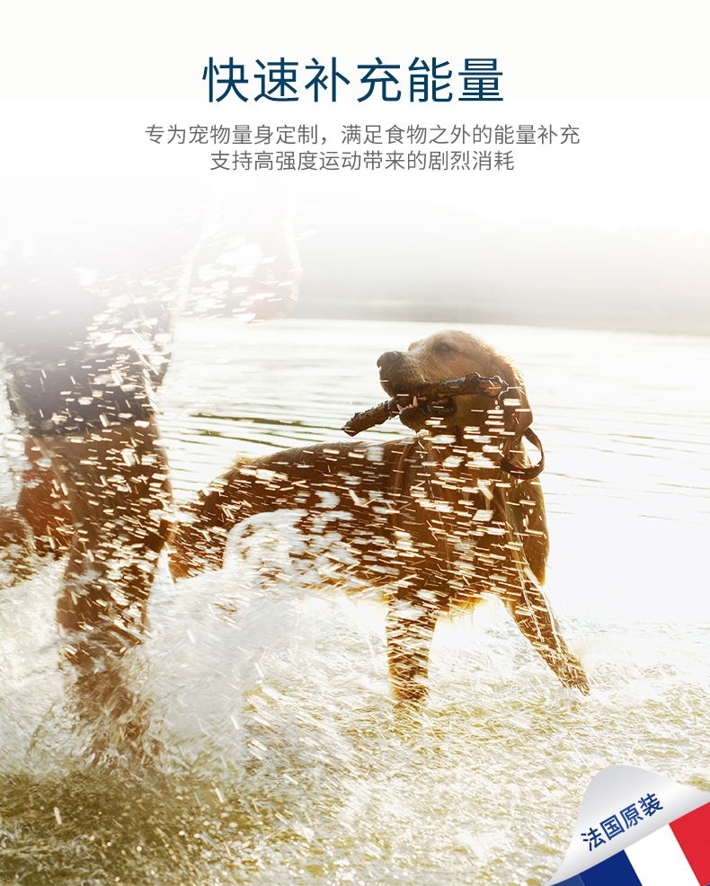 法国维克Virbac 宠物猫狗通用营养膏 70.9g 补钙补充维生素