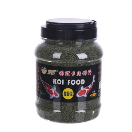 银龙鱼和小型鱼混养注意事项|水族喂食-波奇网