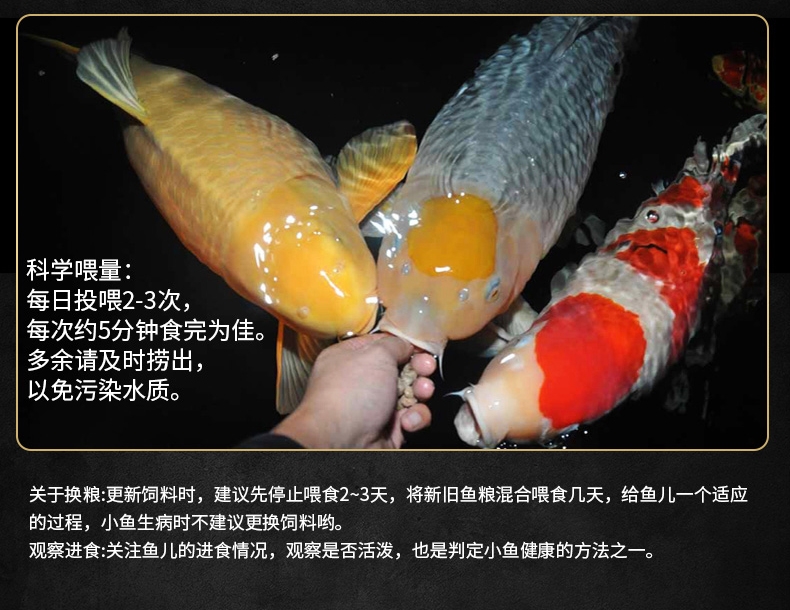 锦跃锦鲤饲料育成150克袋装