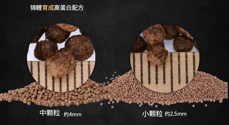 锦跃锦鲤饲料色扬(玩家版)2000克S号桶装