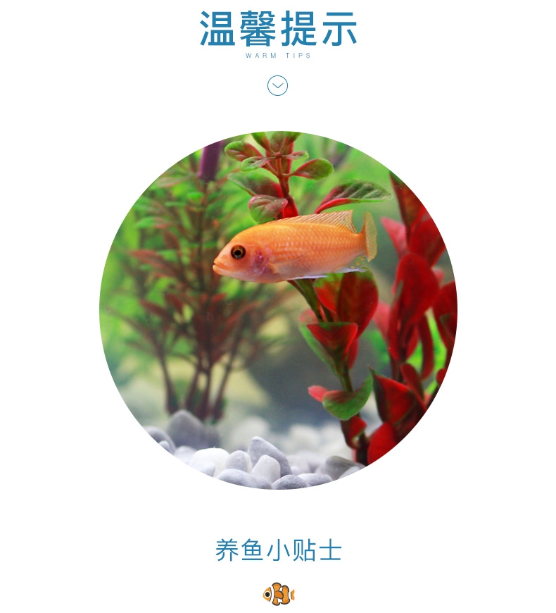 聚宝源滤材活性炭500ml