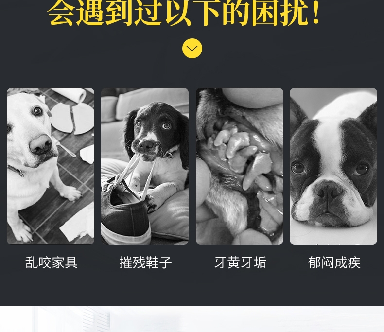 伊丽Elite Mini版长脖子含BB叫