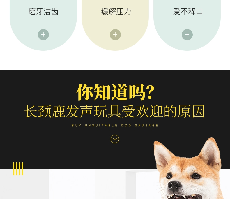 伊丽Elite Mini版长脖子含BB叫