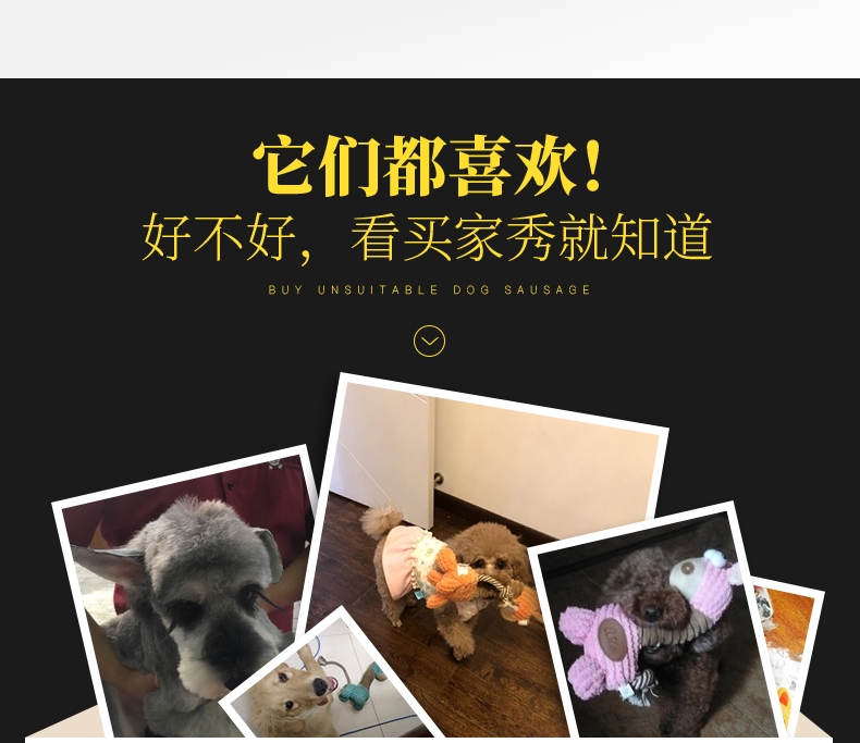 伊丽Elite Mini版长脖子含BB叫