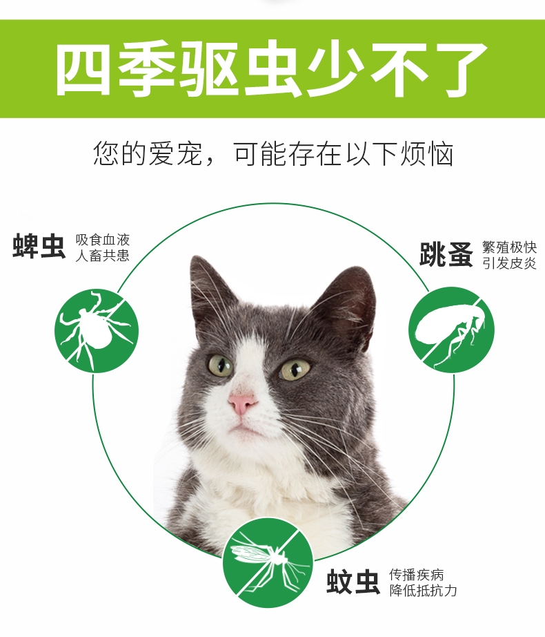 贝帮Beaphar 猫用精油驱虫系列白色项圈 35cm 荷兰原装进口