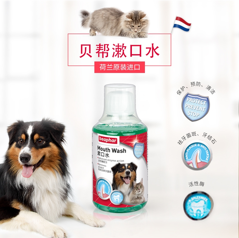 贝帮Beaphar 猫狗通用漱口水 250ml 荷兰原装进口