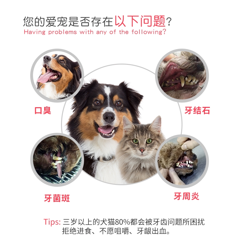 贝帮Beaphar 猫狗通用漱口水 250ml 荷兰原装进口