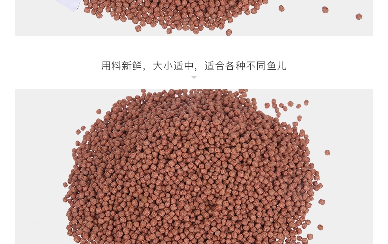 傲深卡加野记锦鲤饲料成长配方-中粒-5kg(3mm)