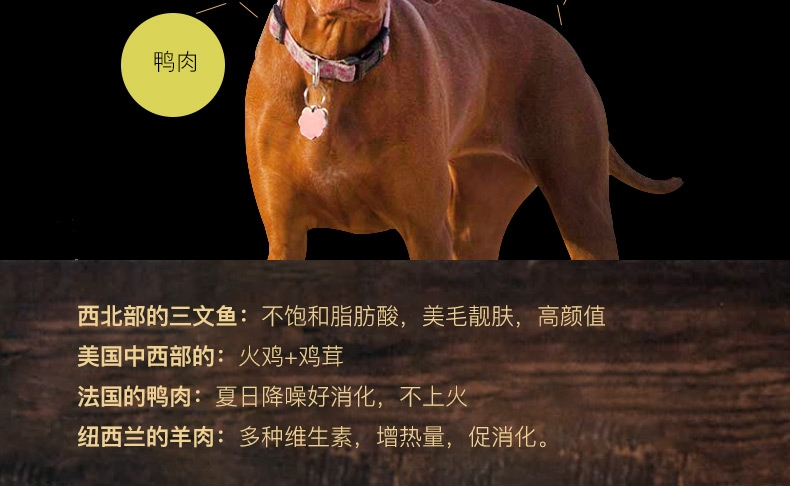 超越Zignature 五种肉青豆超级配方全犬粮 27磅(12.25kg)