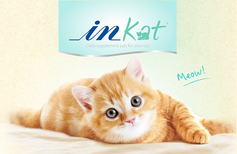 麦德氏In-kat 猫用益生菌 20g 肠道调理助消化吸收毛球排出