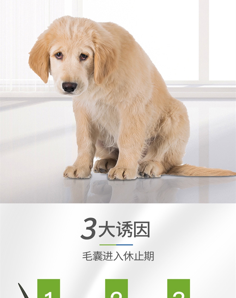 麦德氏Inplus 犬用卵磷脂尝鲜罐 80g 深层滋养毛发