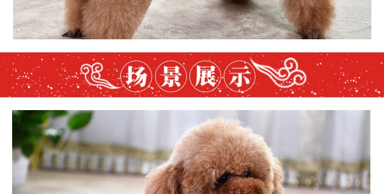 伊丽Elite 中国风双层加厚唐装小型犬四脚衣服 狗狗衣服