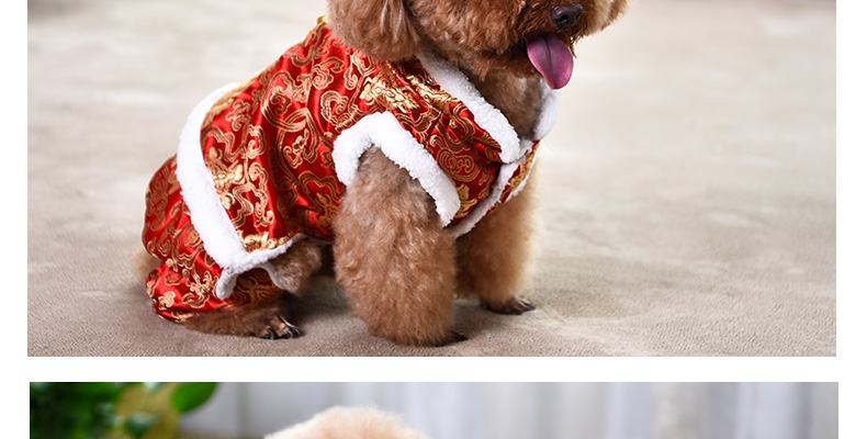 伊丽Elite 中国风双层加厚唐装小型犬四脚衣服 狗狗衣服