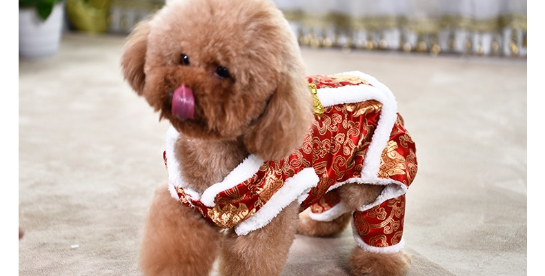 伊丽Elite 中国风双层加厚唐装小型犬四脚衣服 狗狗衣服