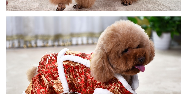 伊丽Elite 中国风双层加厚唐装小型犬四脚衣服 狗狗衣服