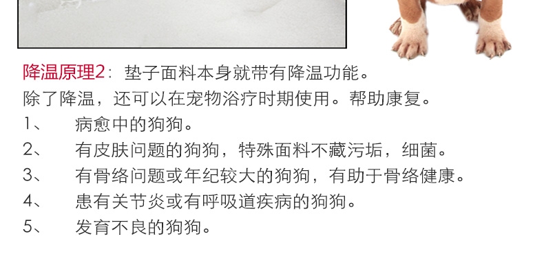 美国进口K&H 宠物加水围边水床 chewy热销