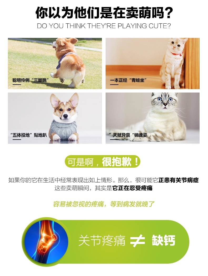 萨沙Sashas Blend 犬用关节灵胶囊 30粒 关节磨损修复 澳大利亚进口