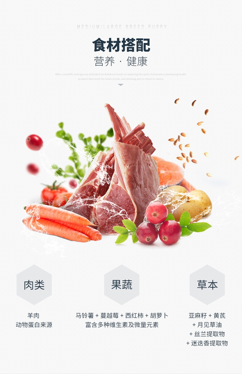 伯纳天纯 无谷羊肉燕麦蔓越莓中大型犬幼犬粮 4kg
