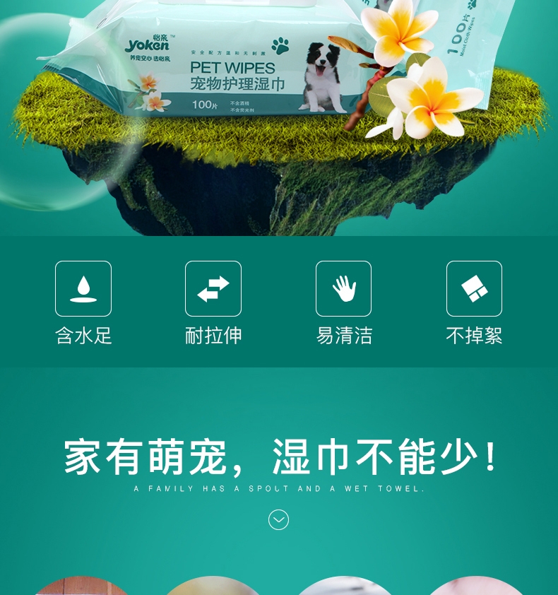 怡亲Yoken 宠物湿巾100片/包*3包 柔绵无纺布 猫狗通用