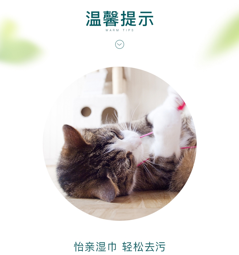 怡亲Yoken 宠物湿巾100片/包*3包 柔绵无纺布 猫狗通用