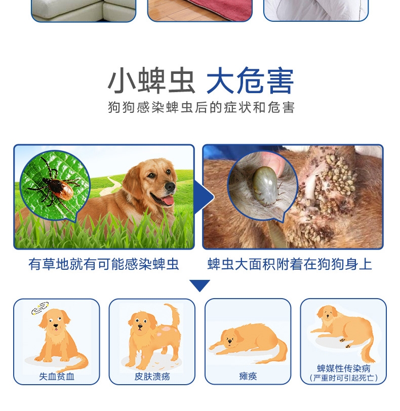 尼可信小型犬抗寄生虫药3片/盒(2-4KG犬用)