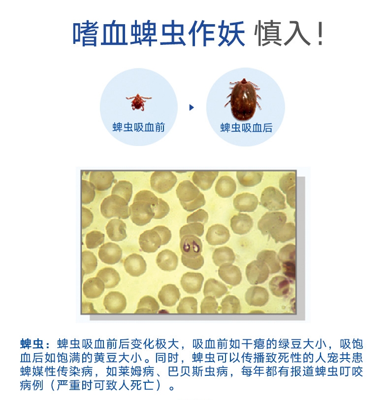 尼可信小型犬抗寄生虫药3片/盒(2-4KG犬用)