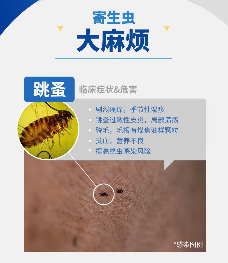 尼可信小型犬抗寄生虫药3片/盒(2-4KG犬用)