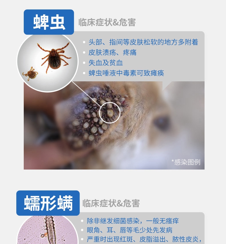 尼可信小型犬抗寄生虫药3片/盒(2-4KG犬用)