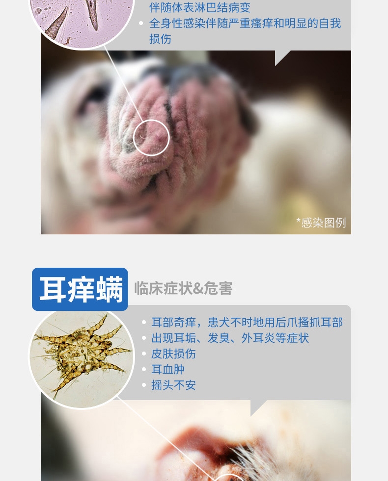 尼可信小型犬抗寄生虫药3片/盒(2-4KG犬用)