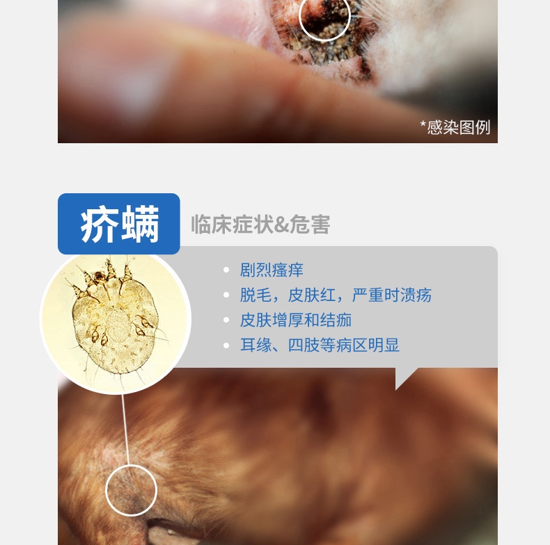 尼可信小型犬抗寄生虫药3片/盒(2-4KG犬用)