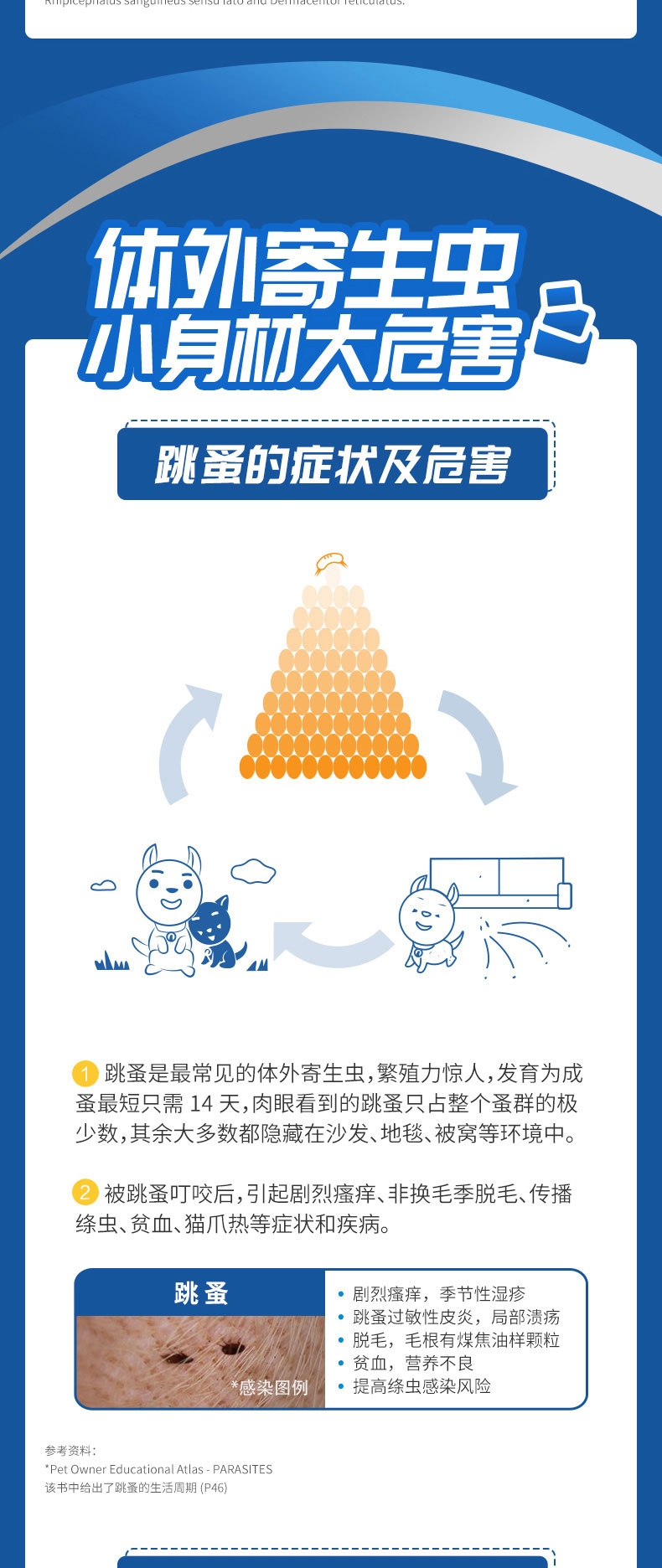 尼可信 中型犬抗寄生虫口服体外驱虫药 3片/盒 4-10KG犬用 法国进口