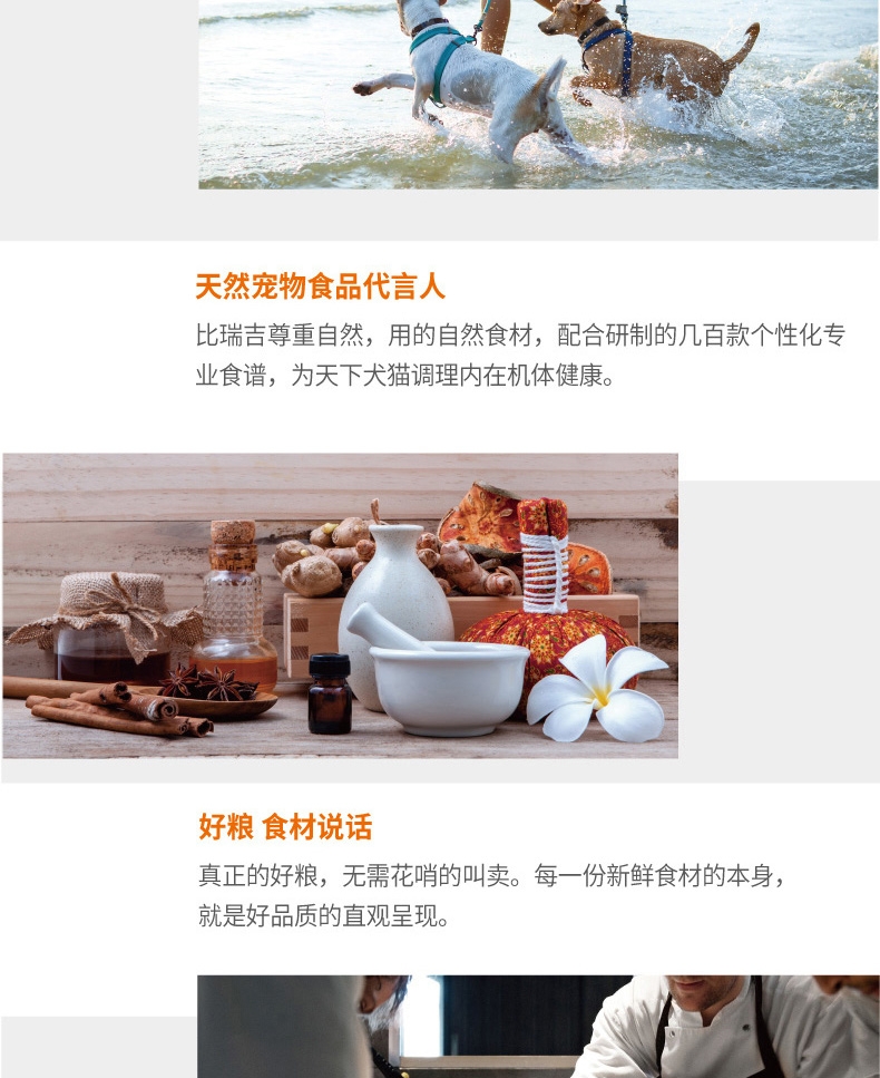 比瑞吉 俱乐部大中型犬全价老年犬粮12KG