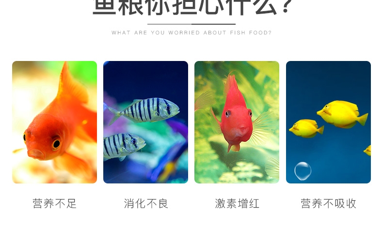 聚宝源高蛋白缓沉碎粒+综合营养薄片(2瓶组合装)500ml/瓶