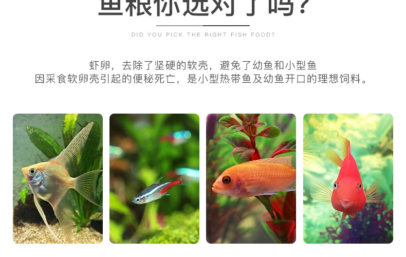 聚宝源脱壳丰年虾卵100ml/瓶